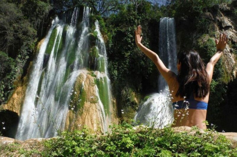 Ciudad Valles: Minas Viejas and Micos Waterfalls Tour - Included Services