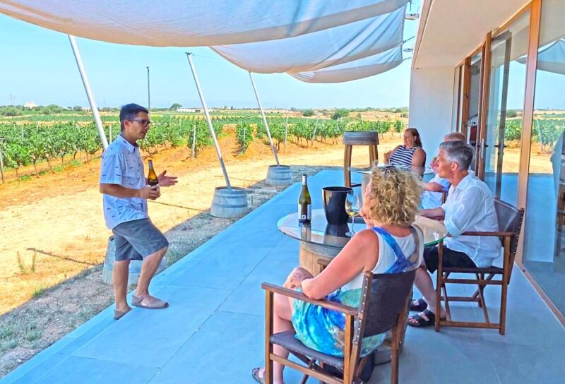 Ciutadella De Menorca: Family Winery Tour With Wine Tasting - Highlights of the Experience
