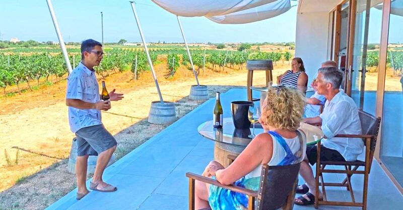 Ciutadella De Menorca: Family Winery Tour With Wine Tasting - Sustainability and Local Culture