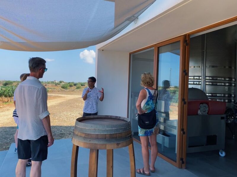 Ciutadella De Menorca: Family Winery Tour With Wine Tasting - Meeting Point and Reservation