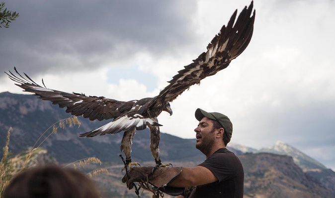 CIVITA EXPERIENCE Borgo Gole Mountain and ... RAPTORS of Pollino - Tour Details