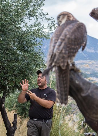 CIVITA EXPERIENCE Borgo Gole Mountain and ... RAPTORS of Pollino - Customer Feedback