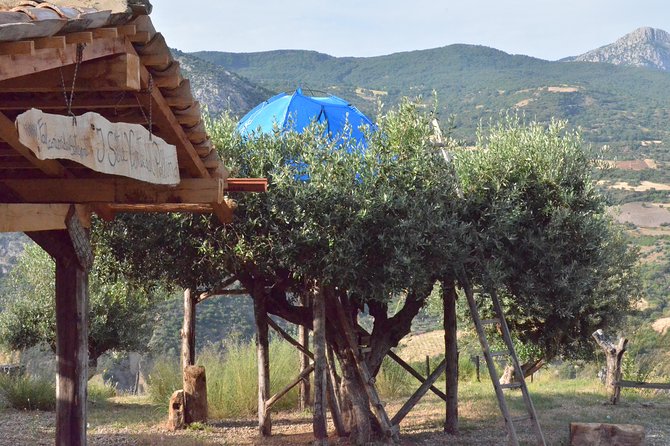 CIVITA EXPERIENCE Borgo Gole Mountain and ... RAPTORS of Pollino - Exploring Civita and the Gole