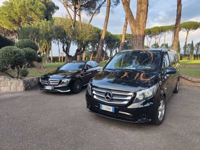 Civitavecchia Cruise Port Transfer To & From Rome & Airport - Luggage Assistance