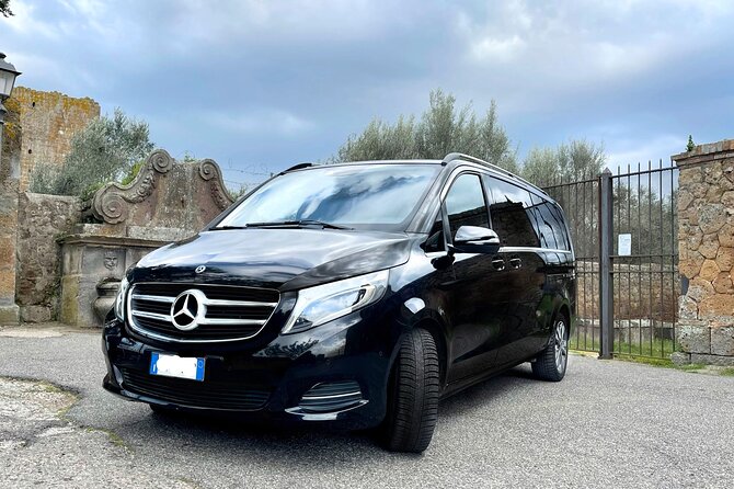 Civitavecchia Cruise Ship Port to Rome Hotel Private Transfer - Pricing Information