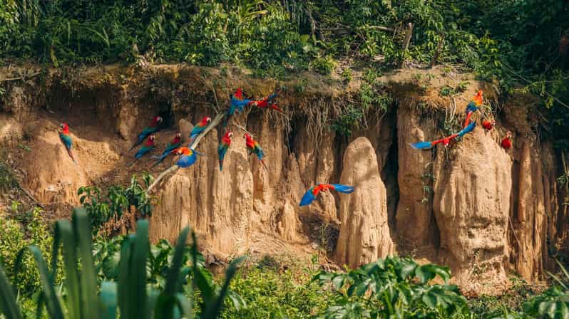 CLALPAS TAMBOPATA INN EXPEDITION 4D/3N - Daily Itinerary