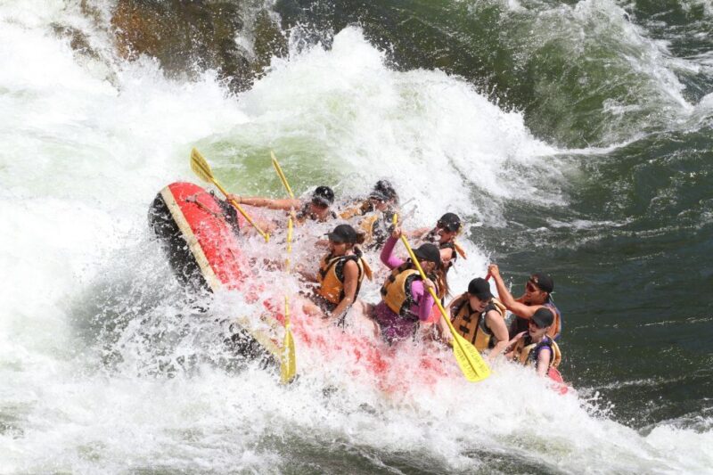 Clark Fork River Full Day Whitewater Rafting Trip - Booking Information
