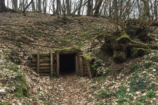 Clash of Titans: Battle for Seelow Heights WW2 Tour - Tour Highlights and Key Experiences
