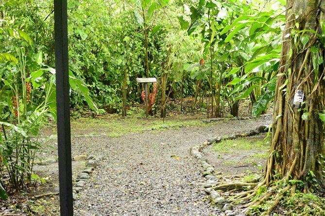 Class II-III Rafting and Chocolate Tour From La Fortuna - Cacao Farm Chocolate-Making Experience