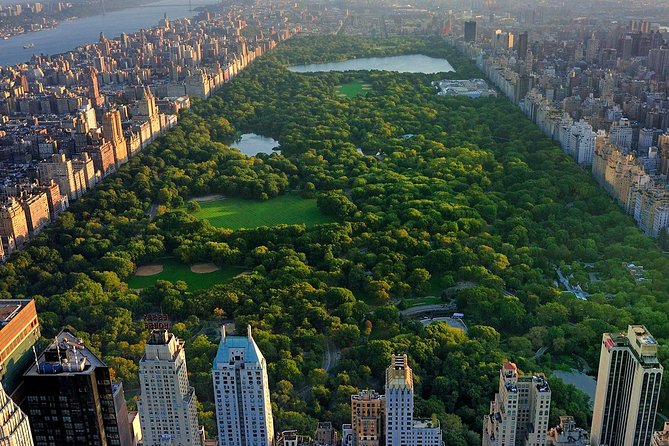 Classic 1-Hour Central Park Pedicab Tour - Highlights of the Tour