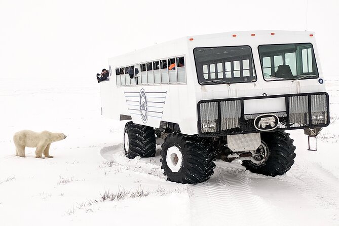 Classic 5 Night Churchill Polar Bear Adventure - Travel Details