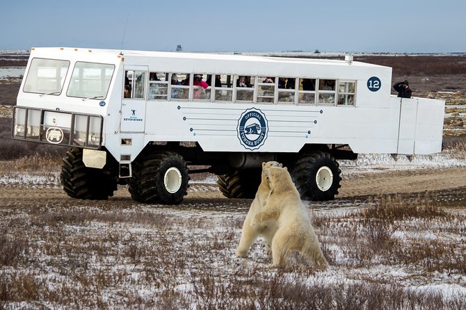 Classic 5 Night Churchill Polar Bear Adventure - Group Size and Accessibility