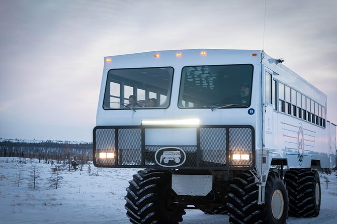 Classic 5 Night Churchill Polar Bear Adventure - Tundra Buggy Experience