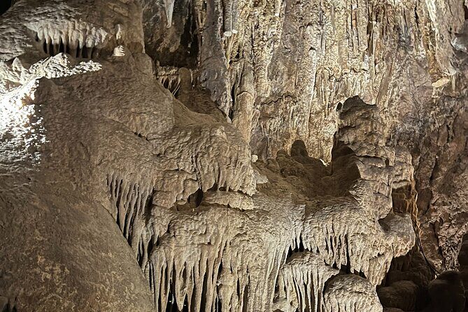 Classic Cave Tour at Colossal Cave - Wildlife and Natural Surroundings