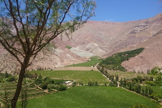 Classic Elqui Valley (Between Vineyards and Fruit Trees) - Key Points