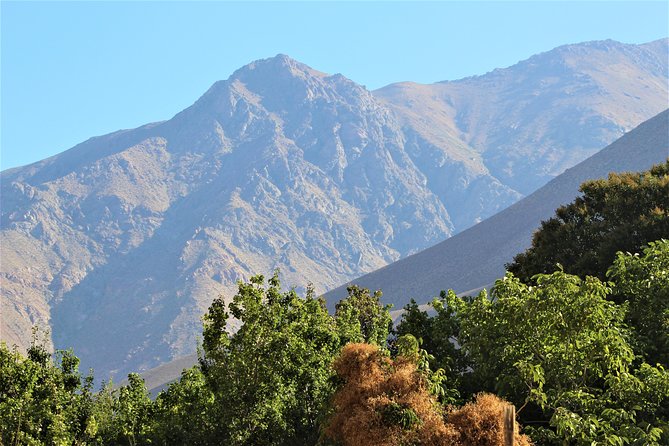 Classic Elqui Valley (Between Vineyards and Fruit Trees) - Included Experiences
