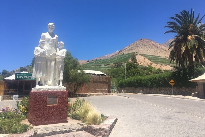 Classic Elqui Valley (Between Vineyards and Fruit Trees) - Reviews and Ratings