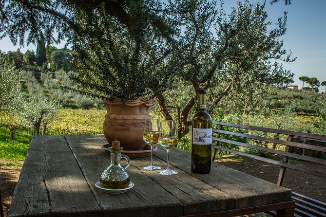 Classic Half-Day Wine Tour in Frascati With Lunch - Lunch With Local Delicacies
