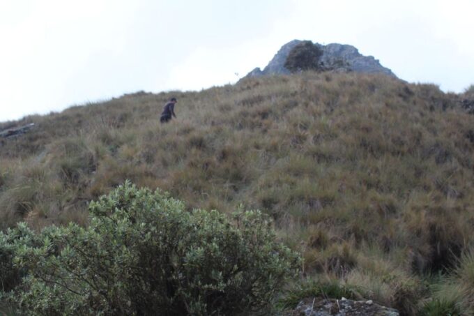 Classic Inca Trail Trek - Inclusions
