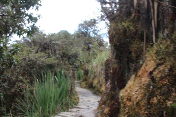 Classic Inca Trail Trek - Exclusions