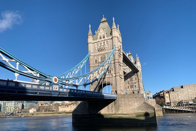 Classic London Tour With a Professional Private Guide - Accessibility Features