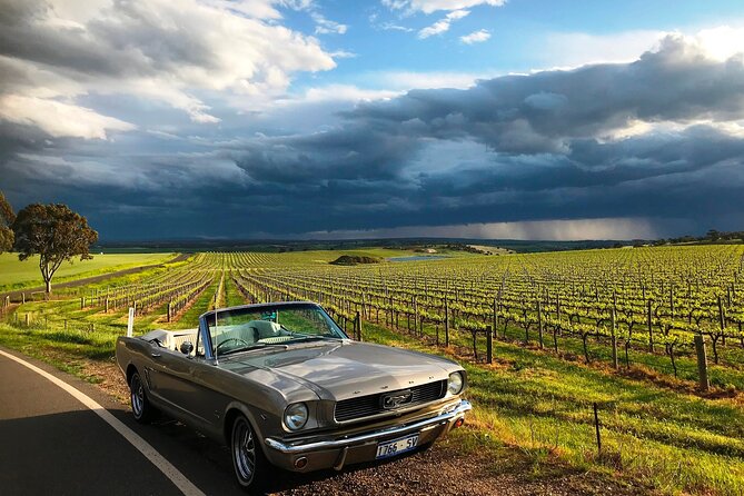 Classic Mustang Convertible Barossa Valley Half Day Private Tour For 2 - Customer Feedback Summary
