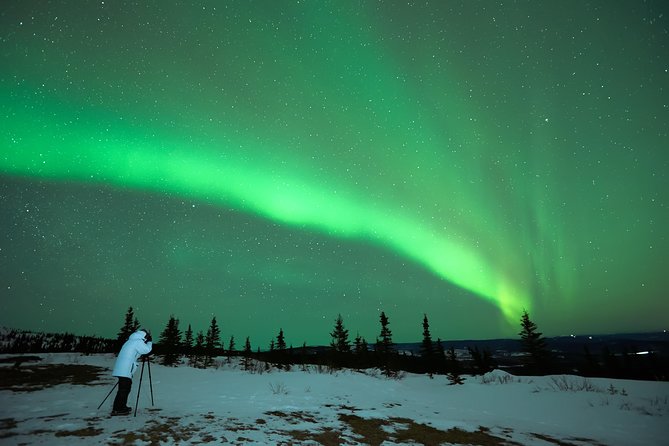 Classic Northern Lights Tour From Reykjavik With Live Guide and Touch-Screen Audio Guide - Good To Know