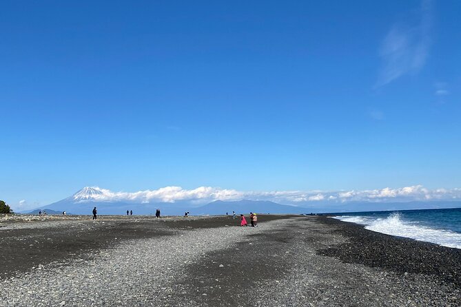 Classic Shizuoka With Mt.Fuji Viewing 1 Day Private Tour - Customization Options