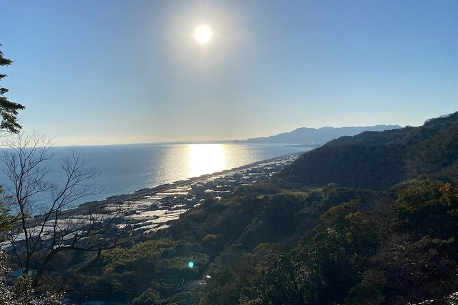 Classic Shizuoka With Mt.Fuji Viewing 1 Day Private Tour - Tour Schedule and Flexibility