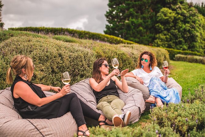 Classic Small Group Super Boutique Waiheke Island Winery Tour - Accessibility and Dietary Requirements