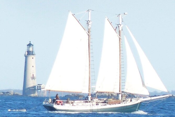 Classic Tall Ship Sightseeing Cruise of Boston Harbor - The Thrill of Sailing a Tall Ship