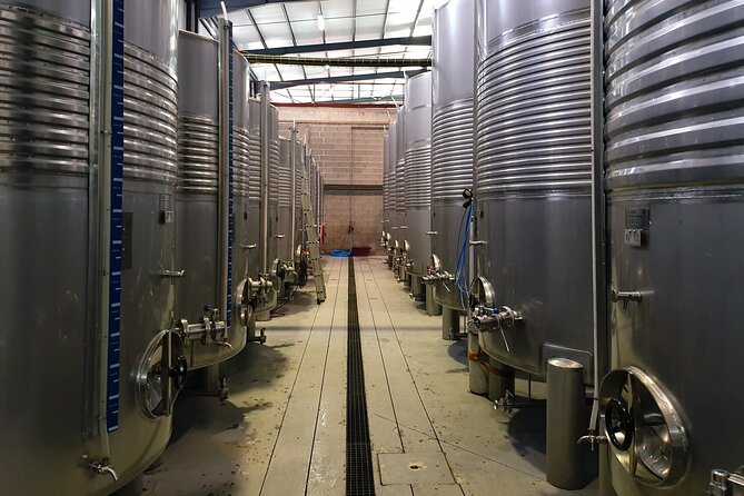 Classic Tasting | Quinta De Santa Cristina Vinho Verde - Sample Menu and Tour Experience