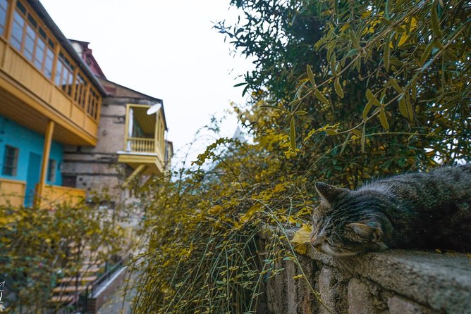 Classic Tbilisi Walking Tour - Inclusions