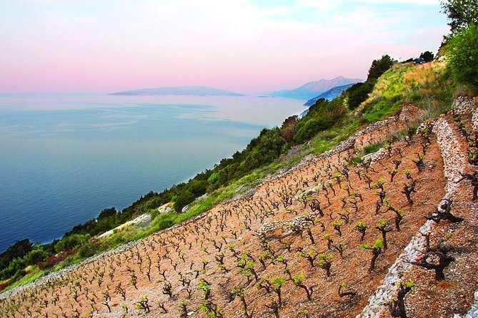 Classic Tour With Wine Tastings From Dubrovnik - Included in the Tour