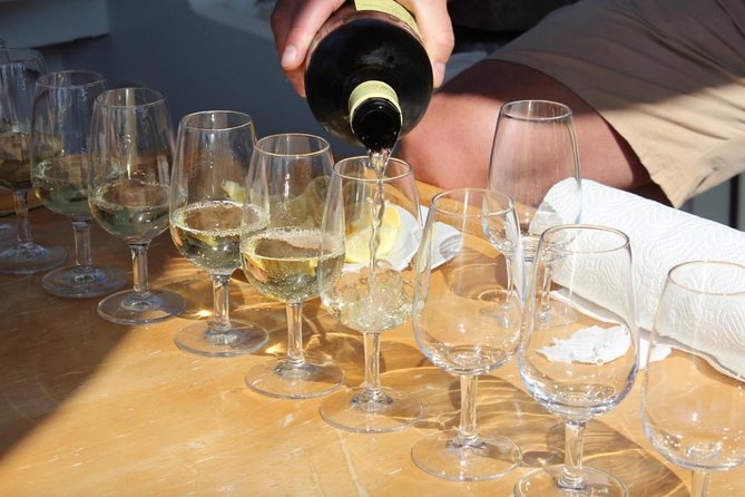 Classic Tour With Wine Tastings From Dubrovnik - Pickup and Drop-off Details