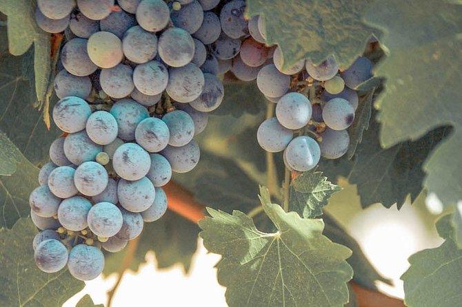 Classic Wine Adventure of Temecula Valley Afternoon Tour - Meeting and End Point