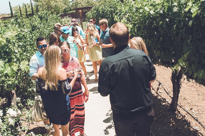 Classic Wine Adventure of Temecula Valley With Morning Departure - Meeting Point and Logistics