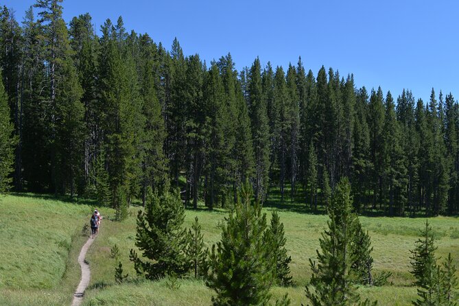 Classic Yellowstone Hike to the Shores of Lake Shoshone (Private up to 8 People) - Key Points