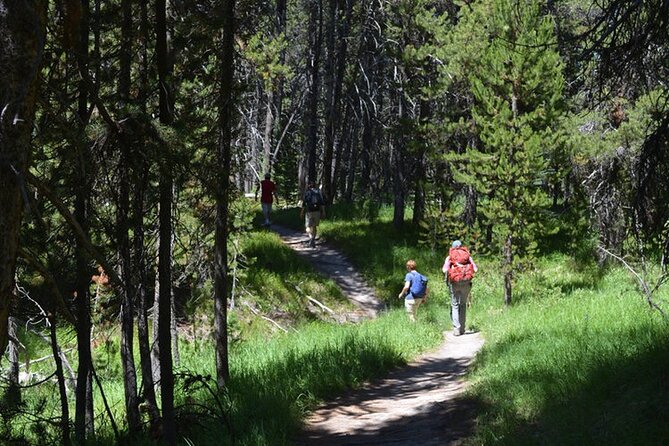 Classic Yellowstone Hike to the Shores of Lake Shoshone (Private up to 8 People) - Preparation and Equipment