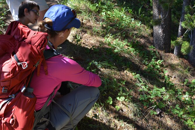 Classic Yellowstone Hike to the Shores of Lake Shoshone (Private up to 8 People) - Physical Fitness Requirement