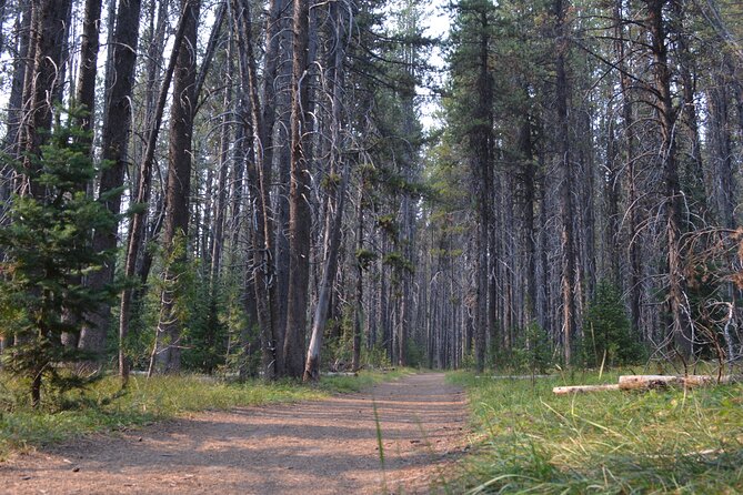 Classic Yellowstone Hike to the Shores of Lake Shoshone (Private up to 8 People) - Accessibility and Health Condition