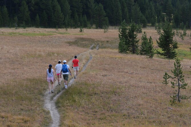 Classic Yellowstone Hike to the Shores of Lake Shoshone (Private up to 8 People) - Booking and Confirmation