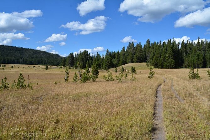 Classic Yellowstone Hike to the Shores of Lake Shoshone (Private up to 8 People) - Tour Operator Information