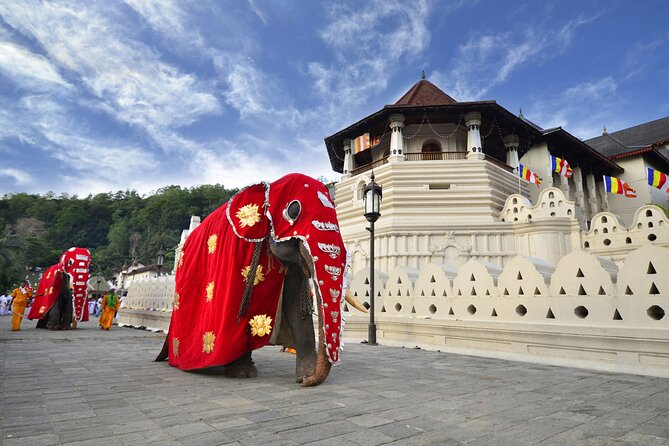 Classical Sri Lanka (7 Day Guided Round Tour) - Inclusions