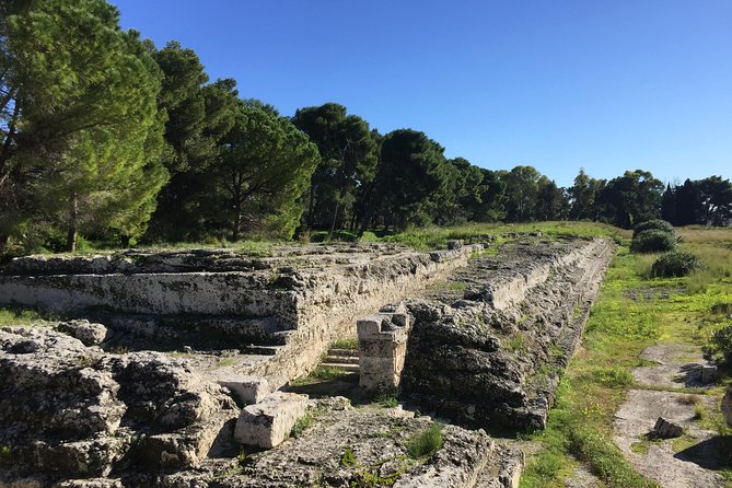 Classical Syracuse - Half Day Guided Tour - Operating Hours