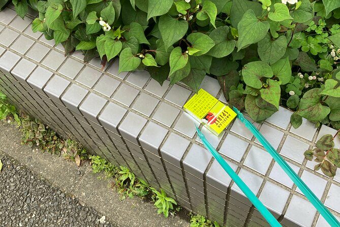 Clean and Walk with Local Guide in Tsukiji Ginza - Authentic Experiences and Traveler Feedback