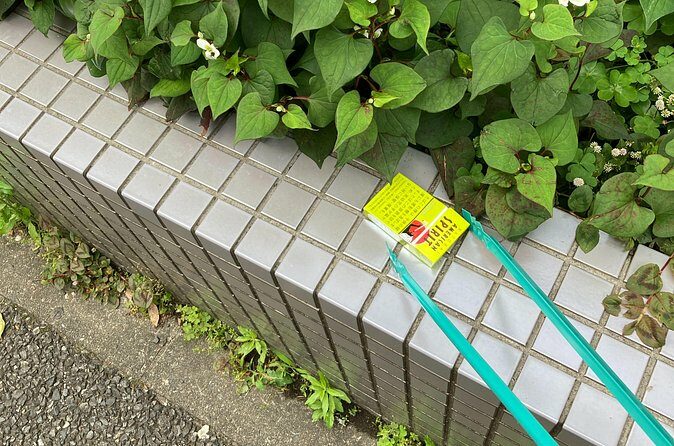Clean and Walk with Local Guide in Tsukiji Ginza - FAQ