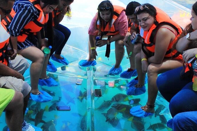 Clear Boat Ride in Los Cabos - Customer Feedback