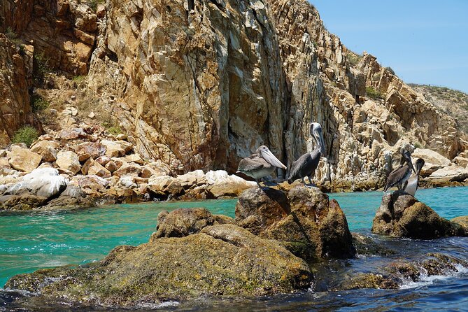 Clear Boat Ride in Los Cabos - Frequently Asked Questions