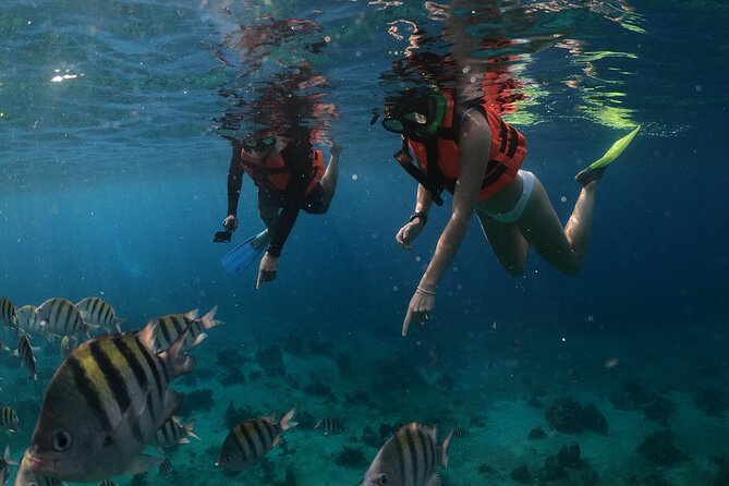 Clear Boat & Snorkel Cozumel Tour With Drinks - Booking and Cancellation Policies